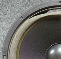 Schaumstoff Sicke für Tannoy C-10 / C10 Tieftoner