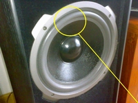 Foam ring (10 inch) for Quadral Quintas 160 woofer