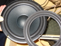 Foam ring (6 inch) for Jamo W21357 woofer