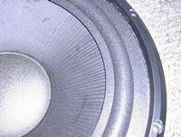 Foam ring (12 inch) for Infinity Kappa 8 woofer