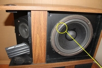 Foamring for BOSE 301 woofer