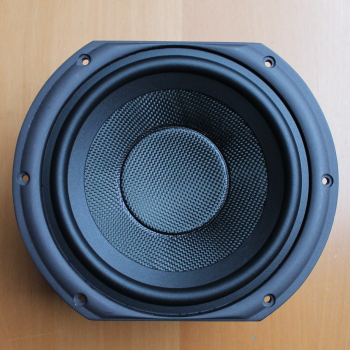 Speaker cone, untreated with coating
