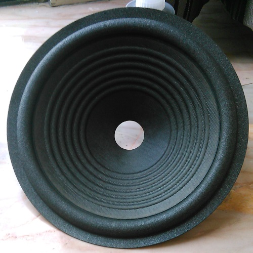Speaker cone, untreated with coating
